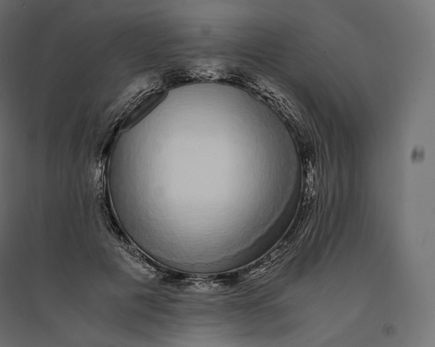 X0000094360601200711241939