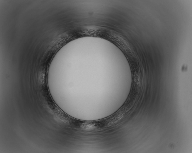 X0000094360602200711241939