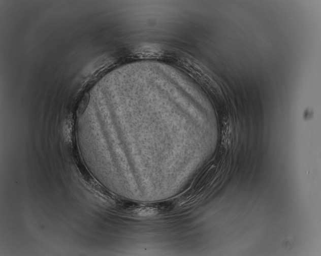 X0000094360604200711241939