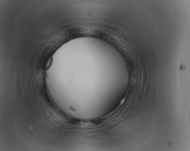 X0000094360605200711241939