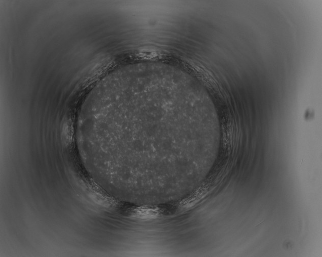 X0000094360606200711241939