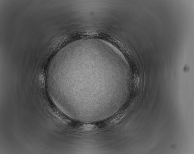 X0000094360609200711241939