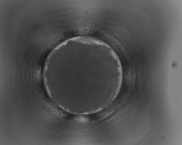 X0000094360610200711241939