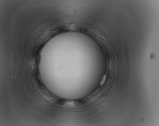 X0000094360611200711241938