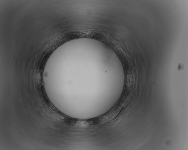 X0000094360613200711241938