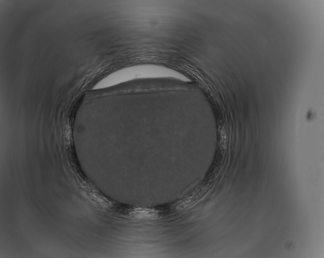 X0000094360617200711241938