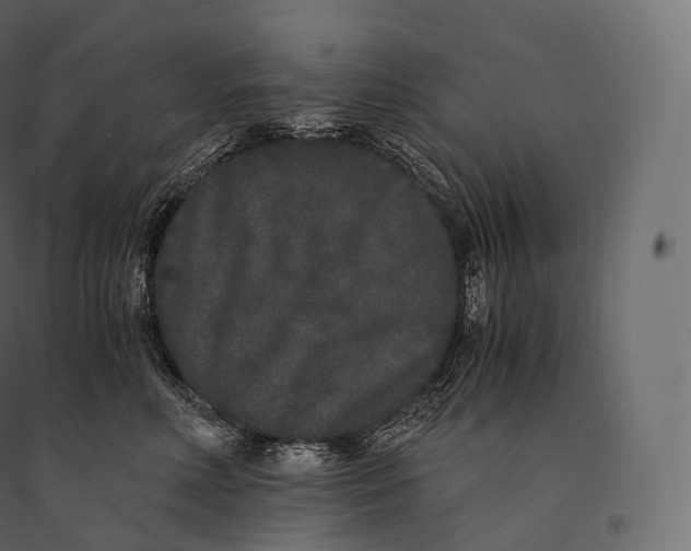 X0000094360618200711241938