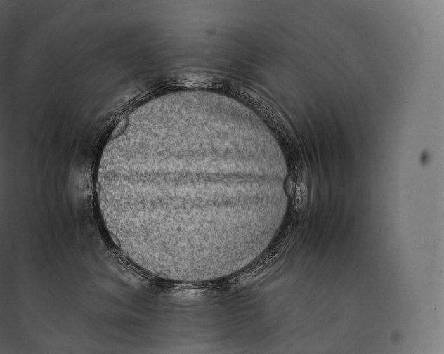 X0000094360620200711241938