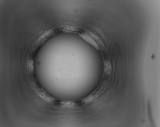 X0000094360621200711241938