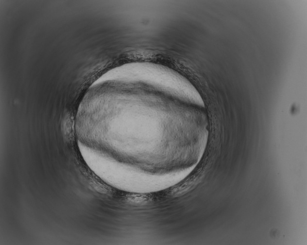 X0000094360624200711241938