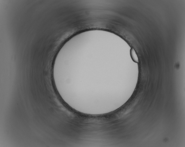 X0000094360625200711241938