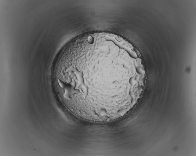 X0000094360626200711241938