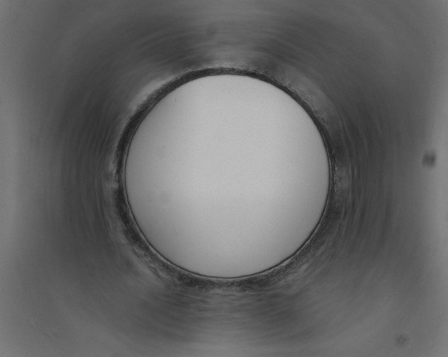 X0000094360628200711241938