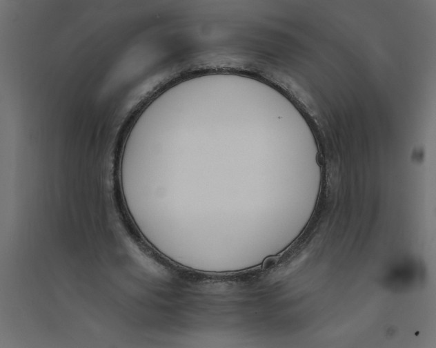 X0000094360629200711241938