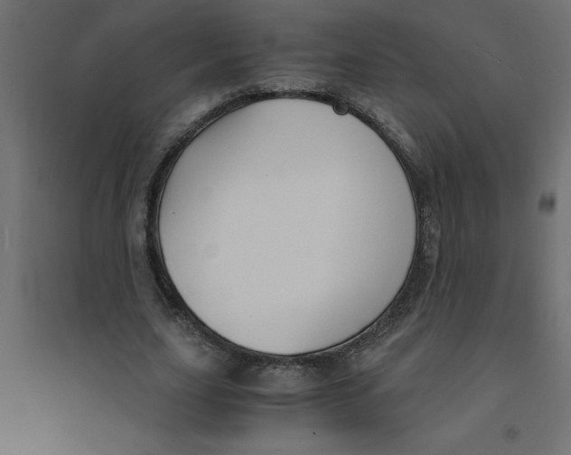 X0000094360631200711241938