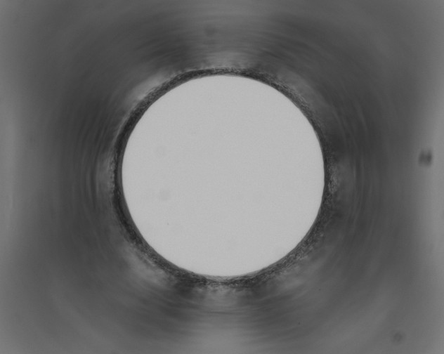 X0000094360632200711241938