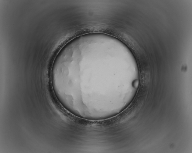 X0000094360634200711241938