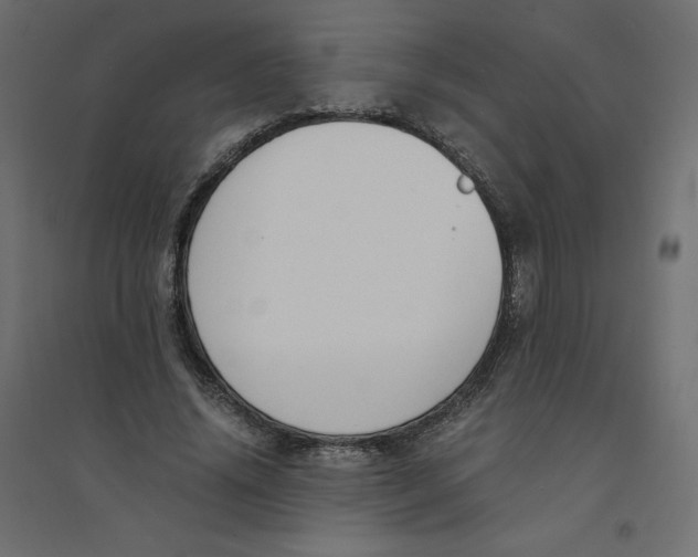 X0000094360636200711241938