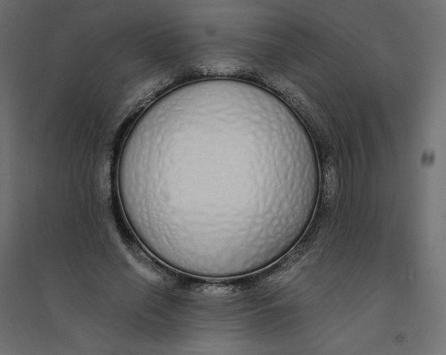 X0000094360638200711241938