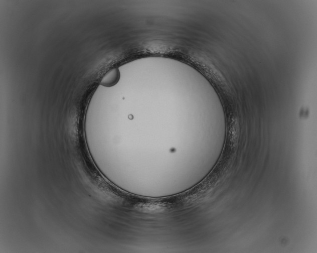 X0000094360639200711241938