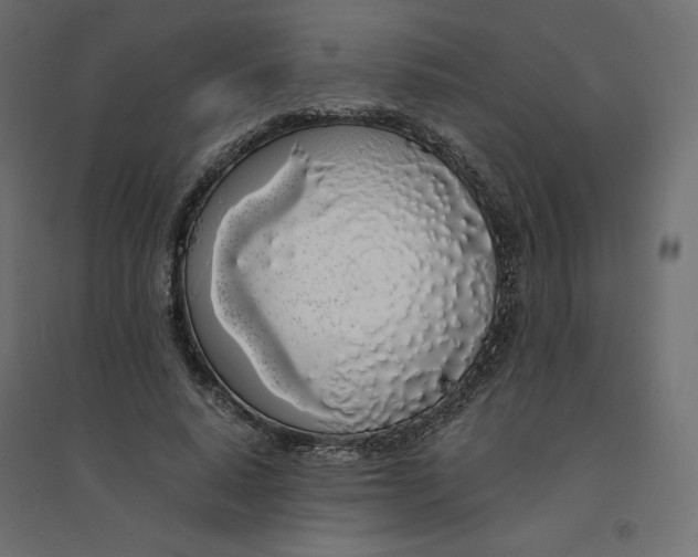 X0000094360640200711241938