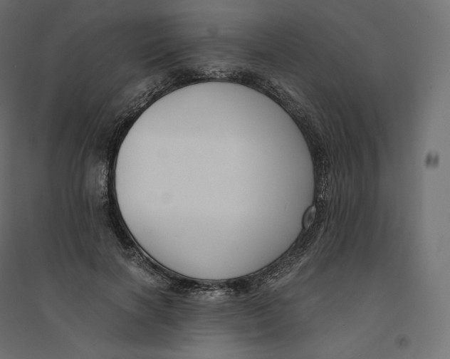 X0000094360646200711241938