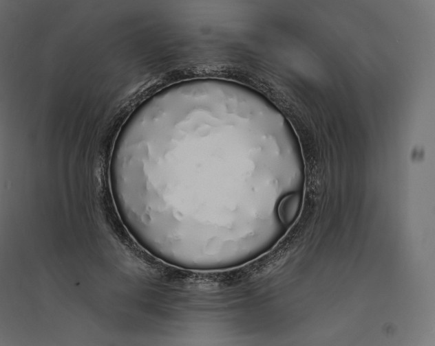 X0000094360648200711241938