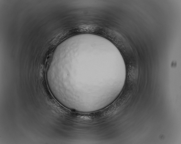 X0000094360649200711241938