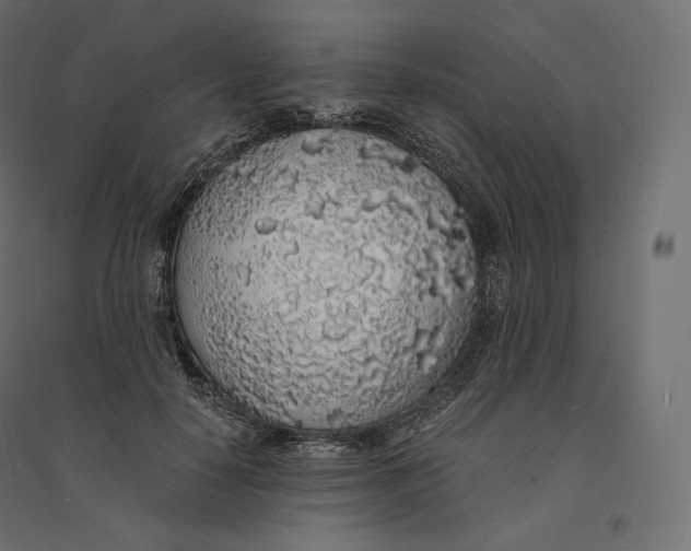 X0000094360650200711241938