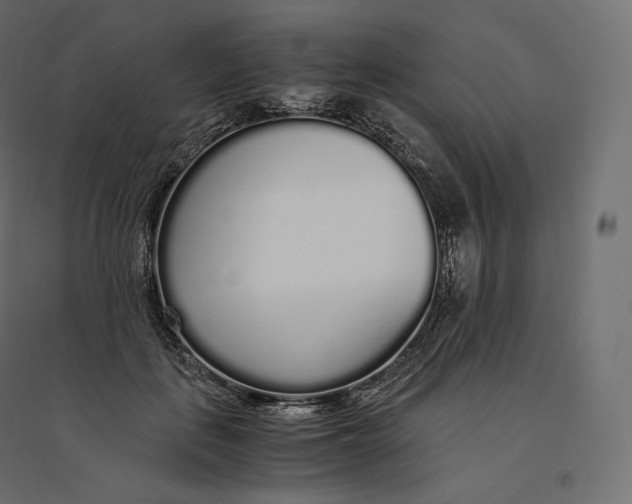 X0000094360651200711241938