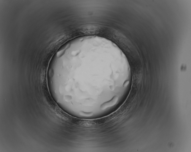 X0000094360652200711241938