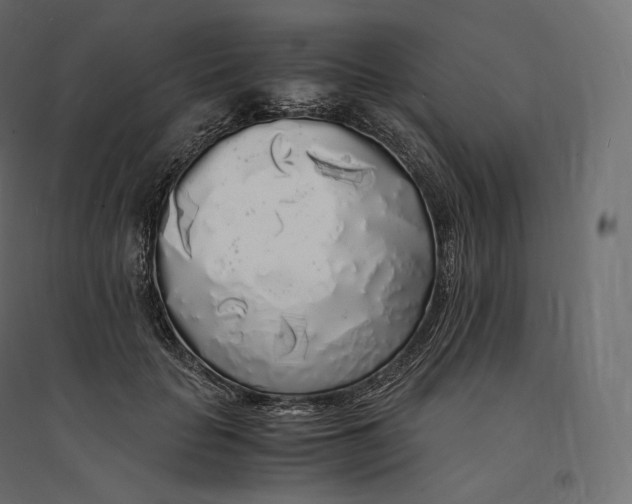 X0000094360653200711241938