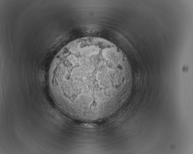 X0000094360654200711241938