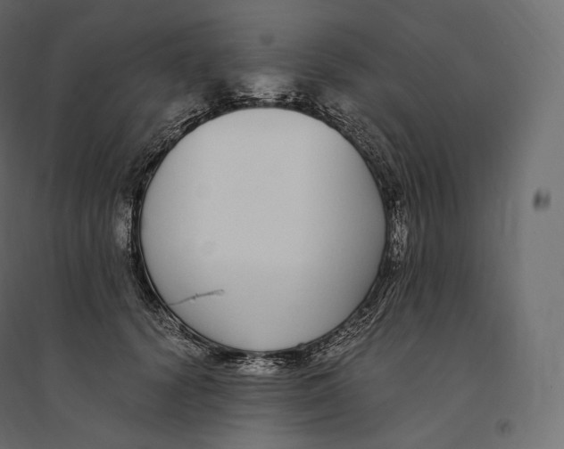 X0000094360656200711241938