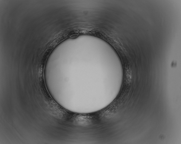 X0000094360657200711241938