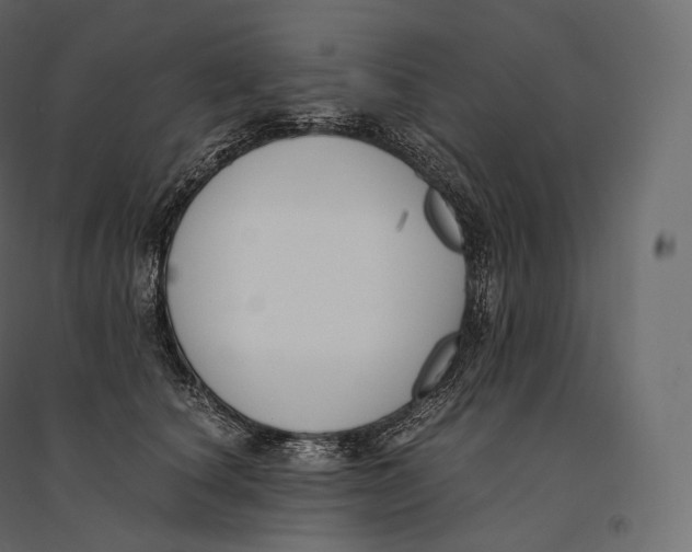 X0000094360660200711241938