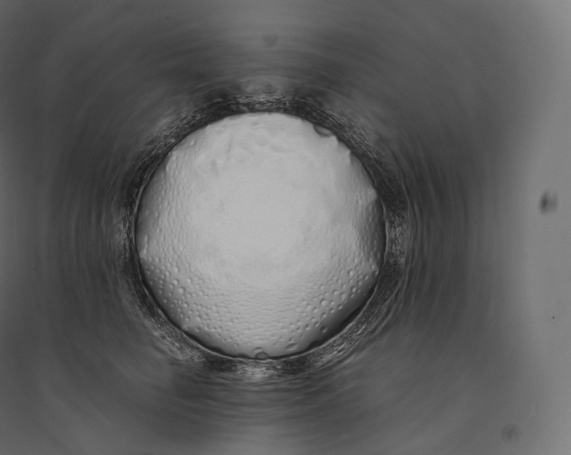 X0000094360662200711241938