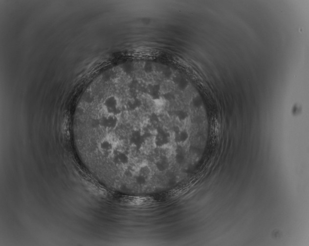 X0000094360663200711241938