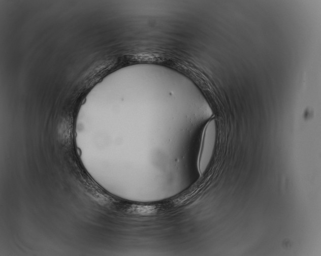 X0000094360665200711241938