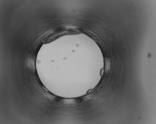 X0000094360666200711241938