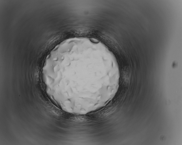 X0000094360668200711241938