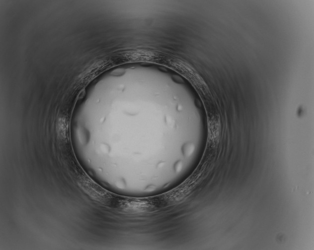 X0000094360669200711241938