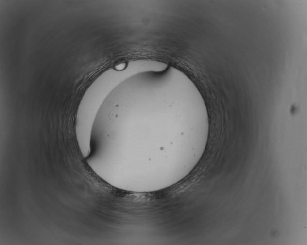 X0000094360672200711241938