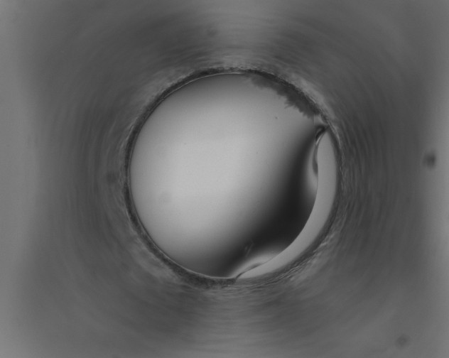 X0000094360673200711241938