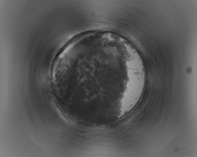 X0000094360674200711241938