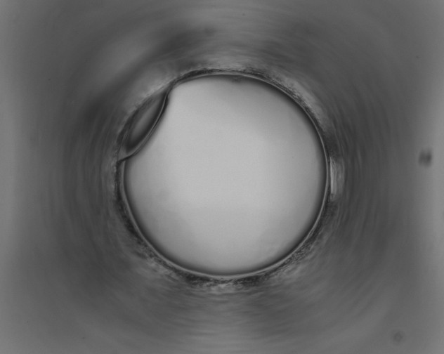 X0000094360675200711241938