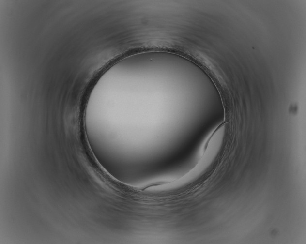 X0000094360677200711241938