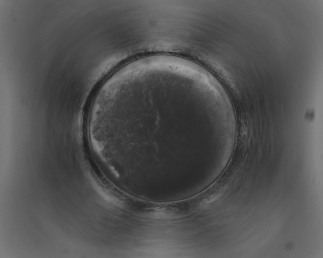 X0000094360678200711241938