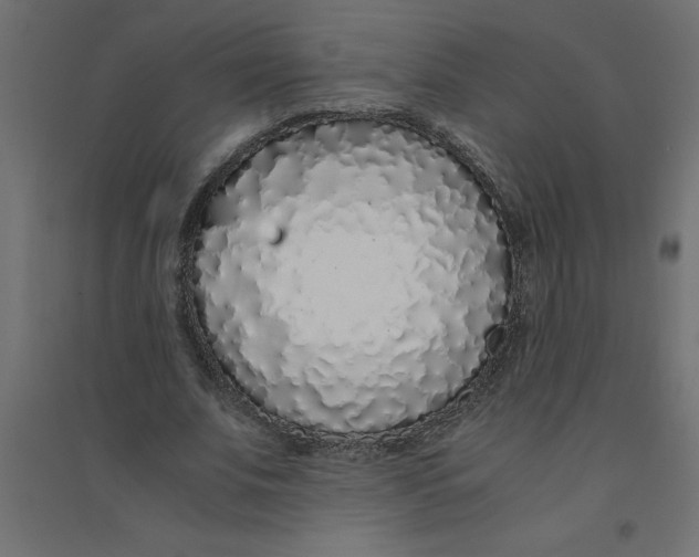 X0000094360679200711241938