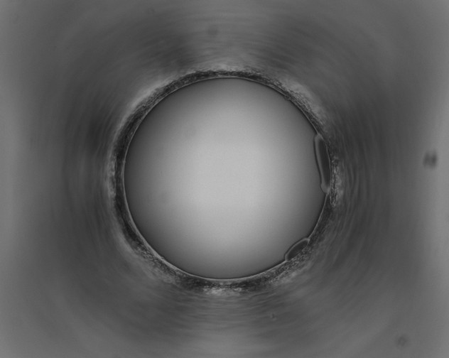 X0000094360680200711241938